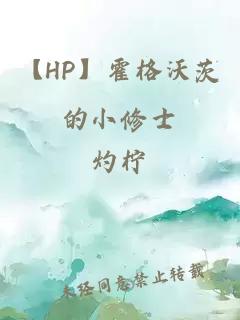 【HP】霍格沃茨的小修士