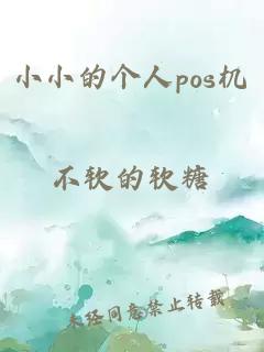 小小的个人pos机